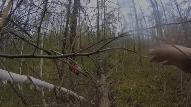 Hiking part 3/Пеший поход по Кангаласскому мысу