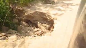 Дорога в Семакино Сокольский район