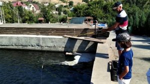 Отличная рыбалка! Искусство рыбной ловли! Форелевое хозяйство в Волгограде.