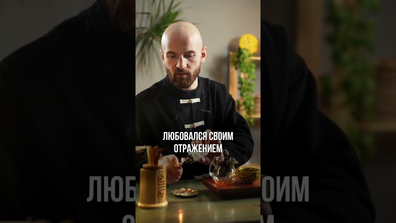 Мудрость за чашкой чая. #чай #мудрость #философия #психология