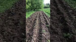 Дисковый плуг пахота отзыв