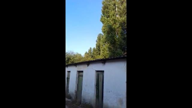 "Или дом не доживет, или мы" с. Лиственное, Нижнегорского района, Республики Крым (август 2021 г.) смотреть онлайн