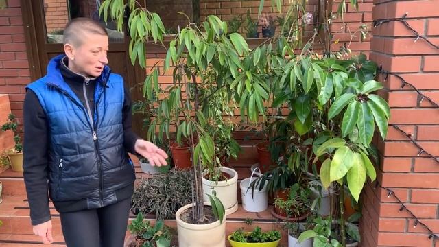 В гостях у закоренелого цветочника | Весна и осень - какие цветы выносить на улицу | Крыльцо и сад смотреть онлайн