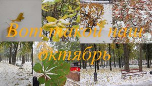 Первая встреча))). .Ура!Мы теперь бабушка и дедушка.)) Первый снег. Как без вкусной еды?))