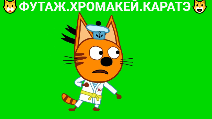 ?ФУТАЖ.ХРОМАКЕЙ.КАРАТЭ?.wmv