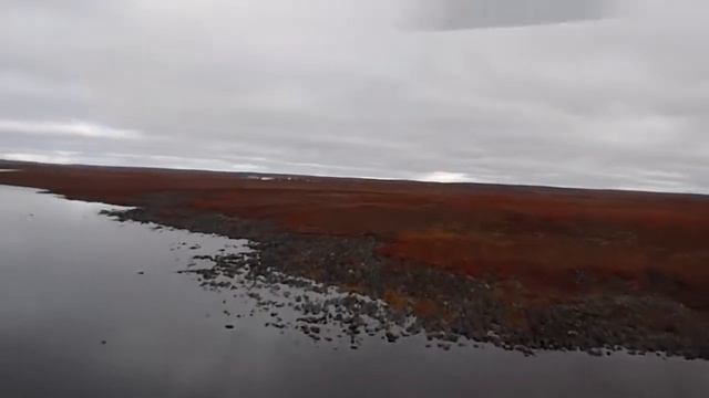 P9080008.MP4 смотреть онлайн