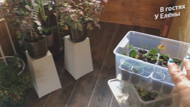 НОВОСТИ ИЗ ДЕРЕВНИ. ПРОРУБИЛИ ОКНО. ОБЗОР СПАЛЬНИ. ПОВЕСИЛИ ШТОРЫ. смотреть онлайн