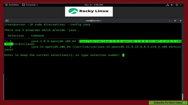 Rocky Linux - installing Java & Set JAVA HOME Environment Variable on Rocky Linux 8 смотреть онлайн