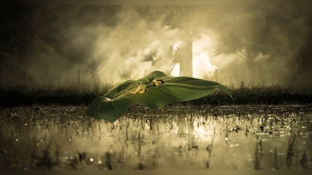 Звуки Ночных ДжунглейАтмосфера ночного лесаЗвуки Тропиков