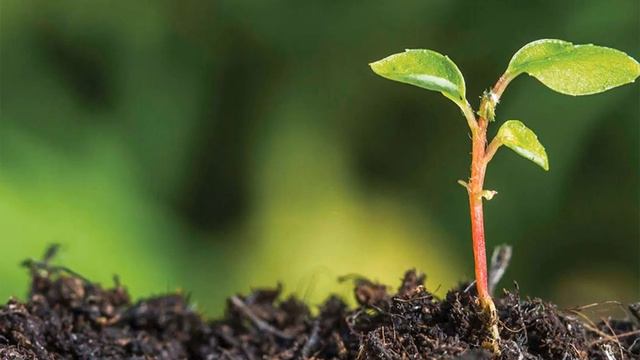 005 #Евангелие от Фомы 2021.061-075 смотреть онлайн