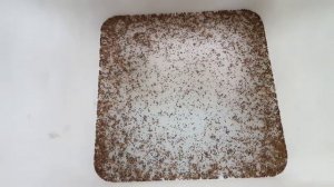Сортировка Семян Рыжика Посевного / Sorting False Flax Seeds