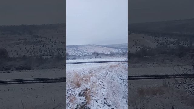 24 ноября 2023 г. смотреть онлайн