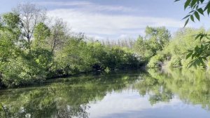 Трансформируем негатив в позитив