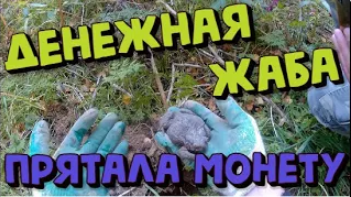 Поиск монет с металлоискателем XP ORX. Снова дорога УДАЧИ. КОП