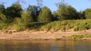 Река Пинега. От Карпогор до посёлка Шилега.