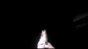 За Налимом на реку Свирь.