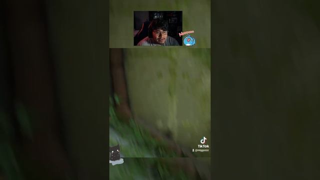 Garfield's Biggest Mistakes( Stray Cat Game) смотреть онлайн