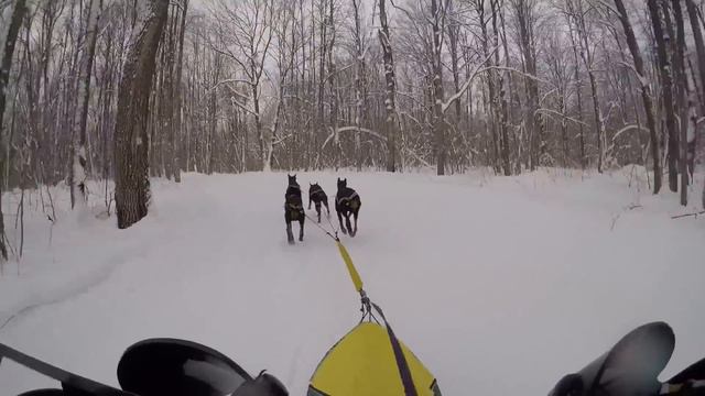 Samara 2016 1 день 7,5 км 17-57. третий результат смотреть онлайн