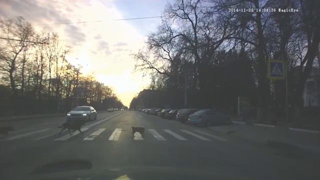 Экзамен ПДД сдан смотреть онлайн