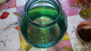 Заправляем чайный гриб..после зимней спячки?