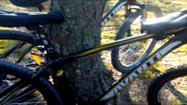 Обзор найнера Avanti Skyline 29""|Выбор бюджетного найнера смотреть онлайн