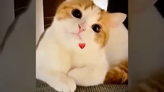 СМОТРИ И СМЕЙСЯ смотреть онлайн