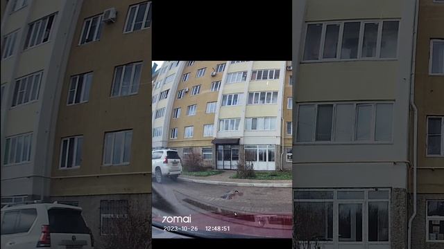Синицы бросили кость на капот смотреть онлайн