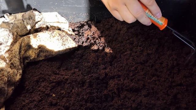 Разведение дождевого червя. Вопрос влажность субстрата смотреть онлайн