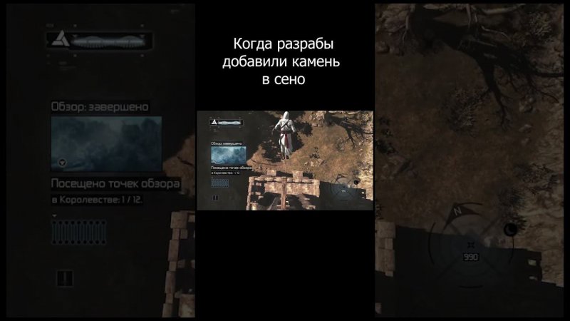 Приколы в Assassin's Creed
