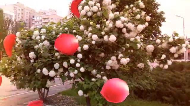 Семейные отношения #любовь#семья#жизнь#тымоевсе#счастьежить