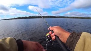 Окунь и Судак на спиннинг! Десногорское водохранилище...