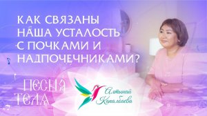 Как связаны усталость с нашими почками и надпочечниками.