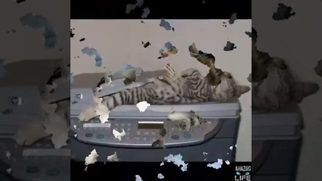 Приколы про кабак смотреть онлайн