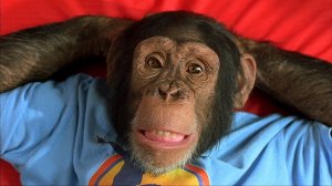 Приколы с обезьянами до слез смотреть бесплатно в хорошем качестве