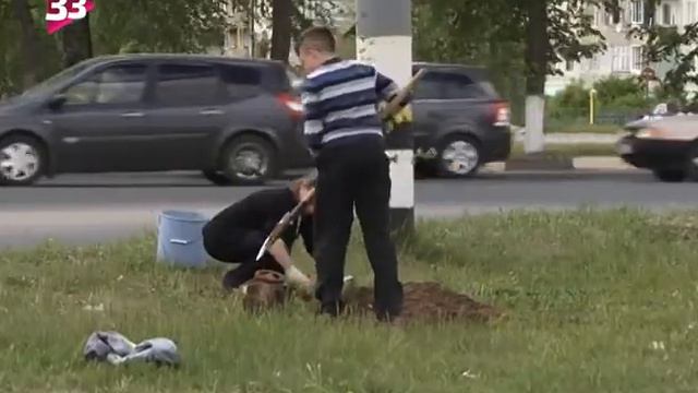 Именная липовая аллея