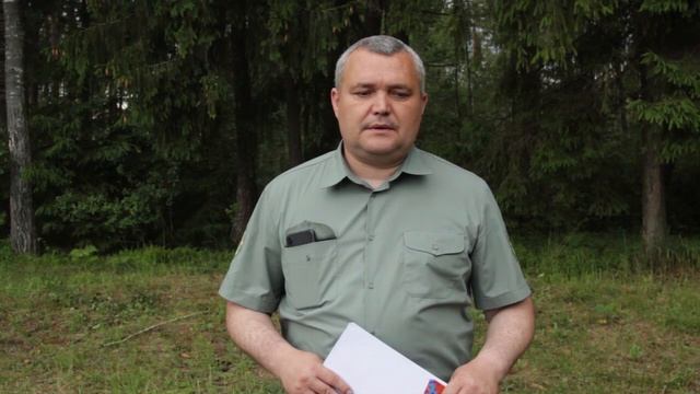 Уничтожено больше сотни гектаров леса! Последствия ветровала в Витебской области
