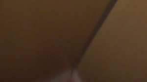 Электрический лифт (посёлок Загорянский), V=1 м-с, г-п 320 кг (2)