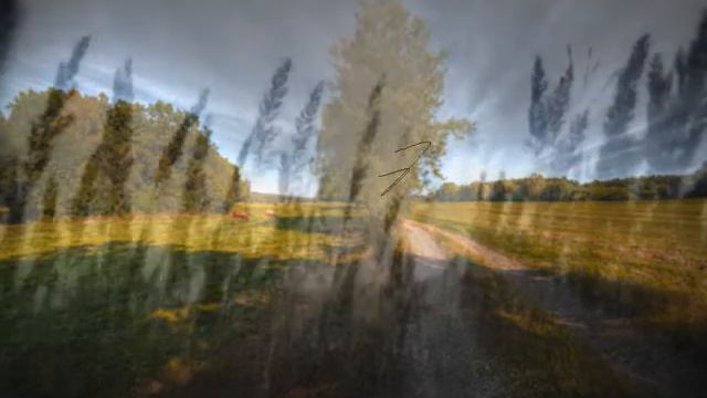 the way