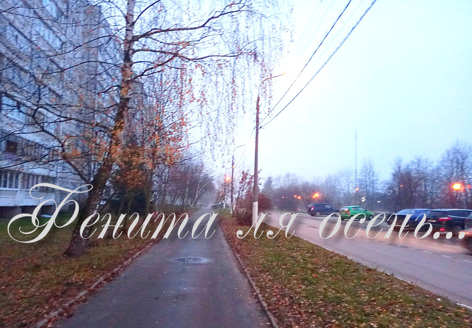 Фенита ля Осень...
