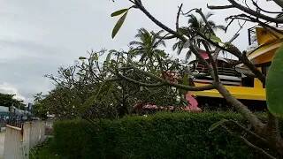 Гиберт нашёл в путешествии ... смотреть онлайн