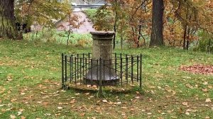 ОКРЕСТНОСТИ. ВСЕВОЛОЖСК