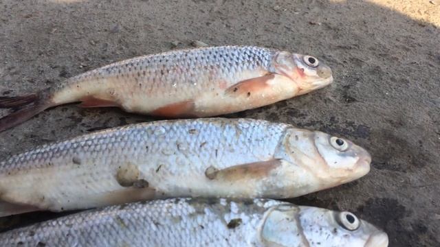 Помогите разобраться. Что это? смотреть онлайн