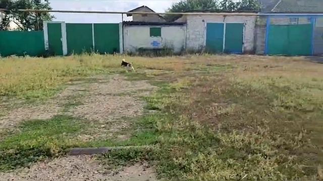 Старобільськ-Нова Астрахань