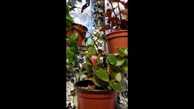 ПОДСТАВКА ДЛЯ ЦВЕТОВ СВОИМИ РУКАМИ