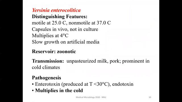 Yersinia, pasteurella and francisella смотреть онлайн