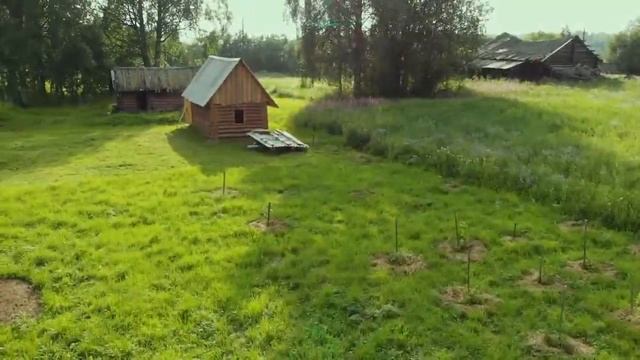 Стихи про лето с Фантазерами смотреть онлайн