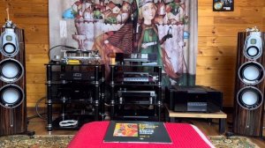 Monitor audio Platinum 300 (3g)