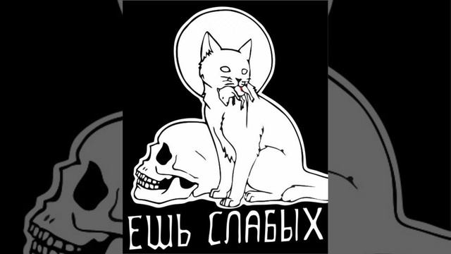 КРАСНАЯ ПЛЕСЕНЬ, MM44 TURBO SHITPOST MACHINE - ПЕРВЫЙ РАЗ HARDCORE GABBER TURBO REMIX смотреть онлайн