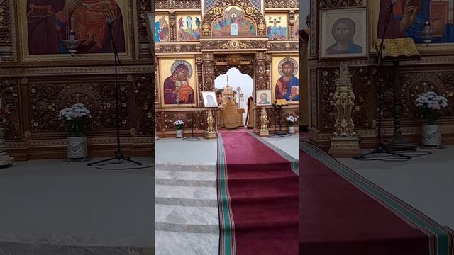 #литургия_воскресная 16 октября 2022 г. смотреть онлайн