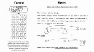 #Когнитом Сфирали: нейрокогнитивный #код. (обновлённая версия)